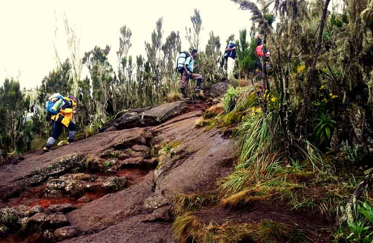 Mount Kilimanjaro Porter (Träger) Machame Route