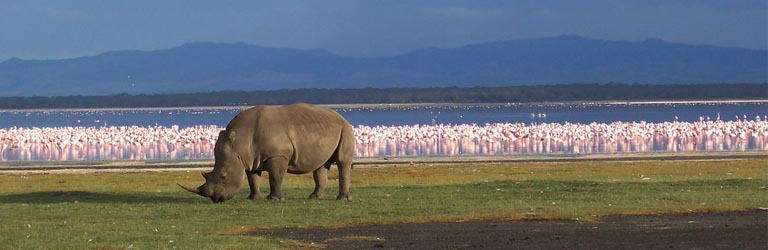 Safari Tansania Planung