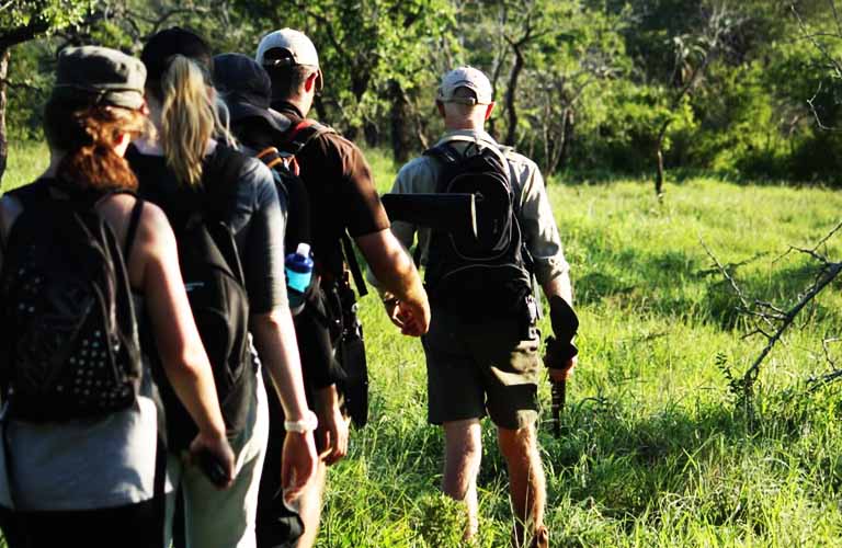 Tansania Safari Bush Walking