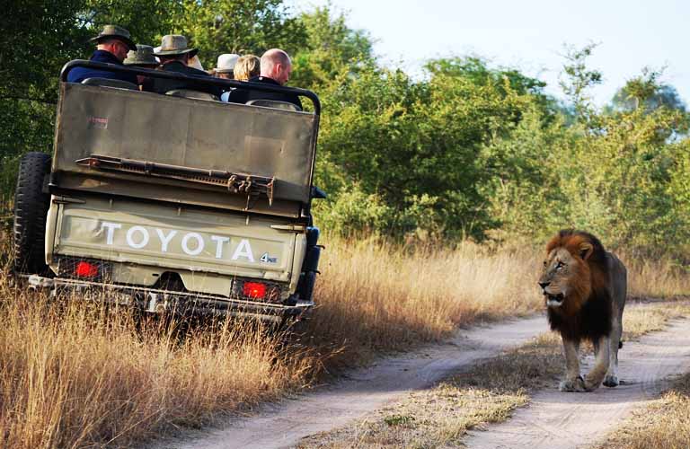 Safaritouren Tansania Tipps