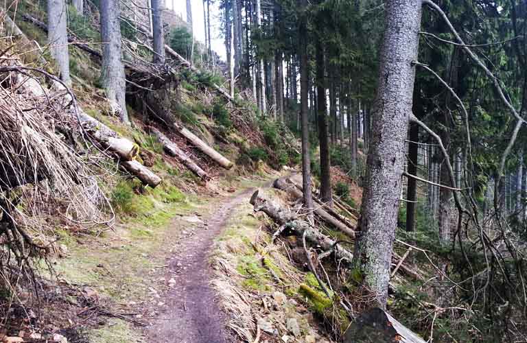 Harzer Hexen-Stieg Wanderweg