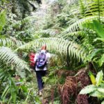 Mount Meru Waterfalls Arusha