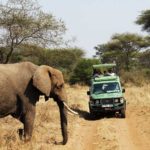Safari Tanzania 18% VAT Tourismussteuer