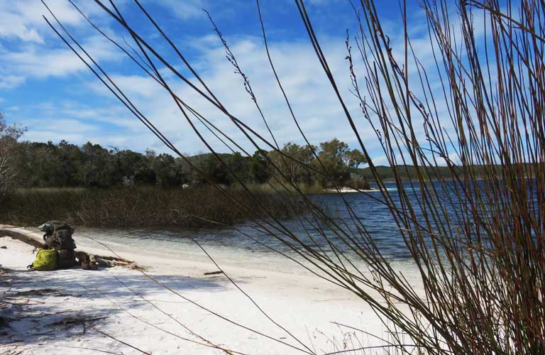 Lake McKenzie Fraser Island Tour Backpacking