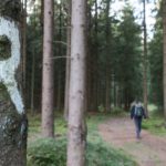 Weitwanderweg rennsteig-wandern-in-thueringen