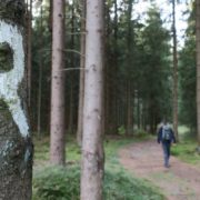 Weitwanderweg rennsteig-wandern-in-thueringen