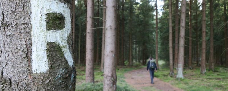 Weitwanderweg rennsteig-wandern-in-thueringen