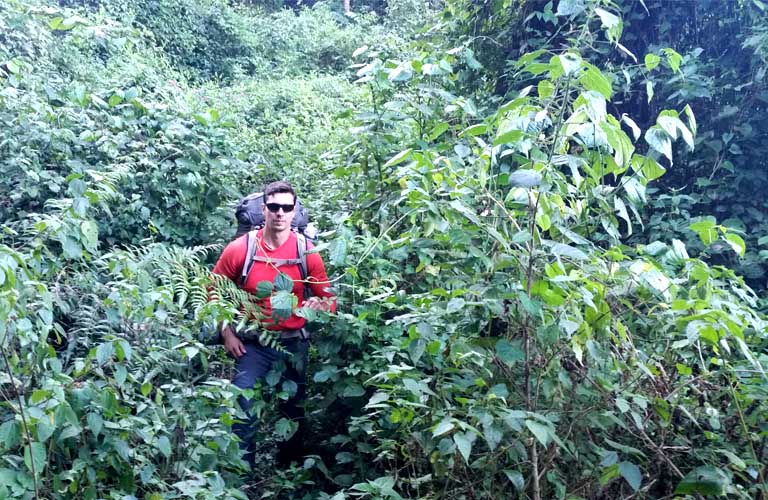 Magamba Rain Forest Lushoto Usambara Mountains