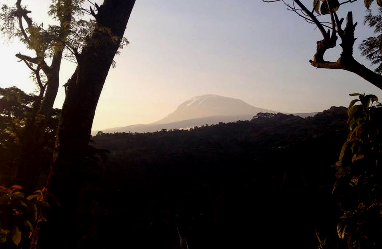 Kilimandscharo Moshi Kilimanjaro Wanderung Materuni waterfalls