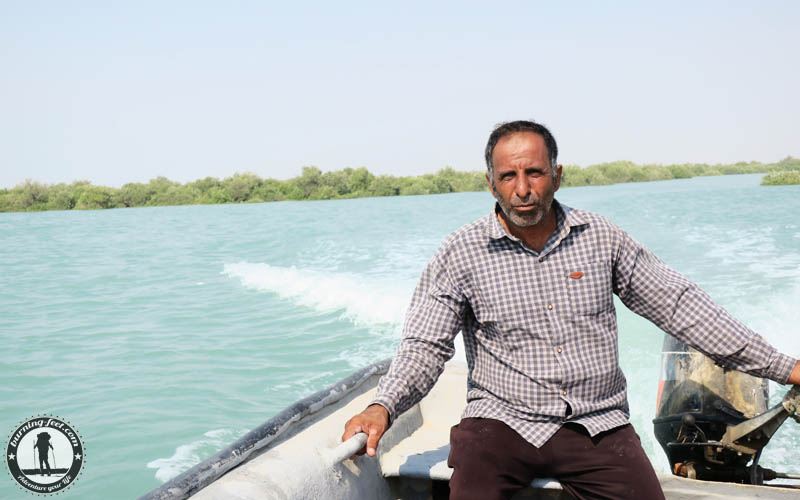 Delfine Queshm Island Mangrove forrest Iran Geopark Qeschm Sehenswürdigkeit Mangrovenwald