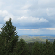 Thüringer Wald