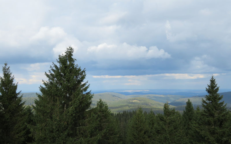 Thüringer Wald