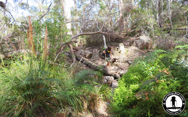 Tasmanien Wandern Packliste