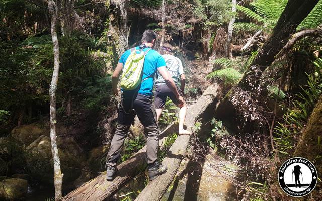 trekking tasmania