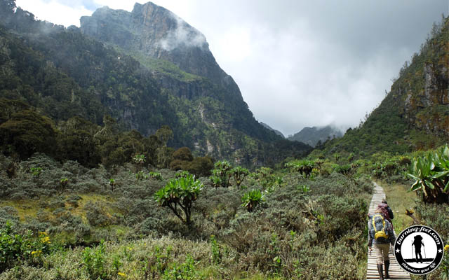 Ruwenzori Nationalpark